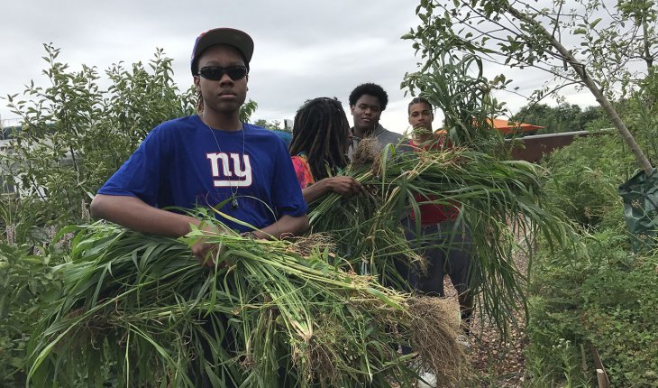 Students in the 2017 Summer Youth Employment Program work on community garden