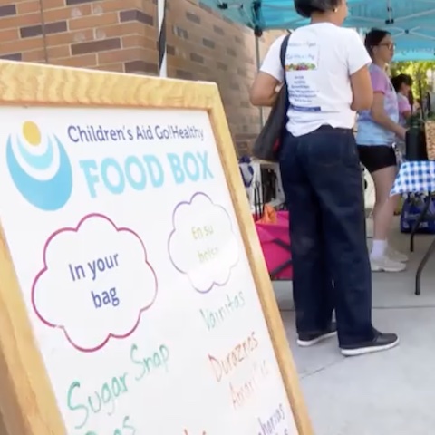 Children's Aid Food Box Program