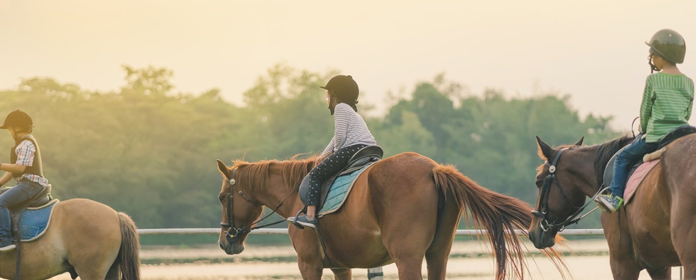 Horseback Riding Lessons