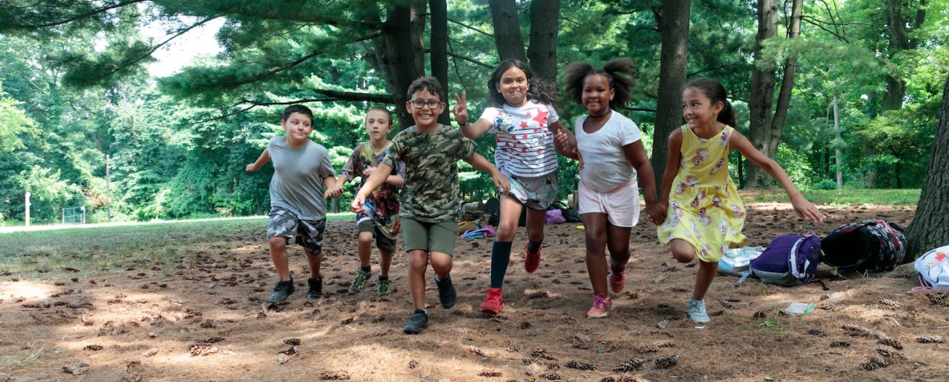 Kids having fun in the woods