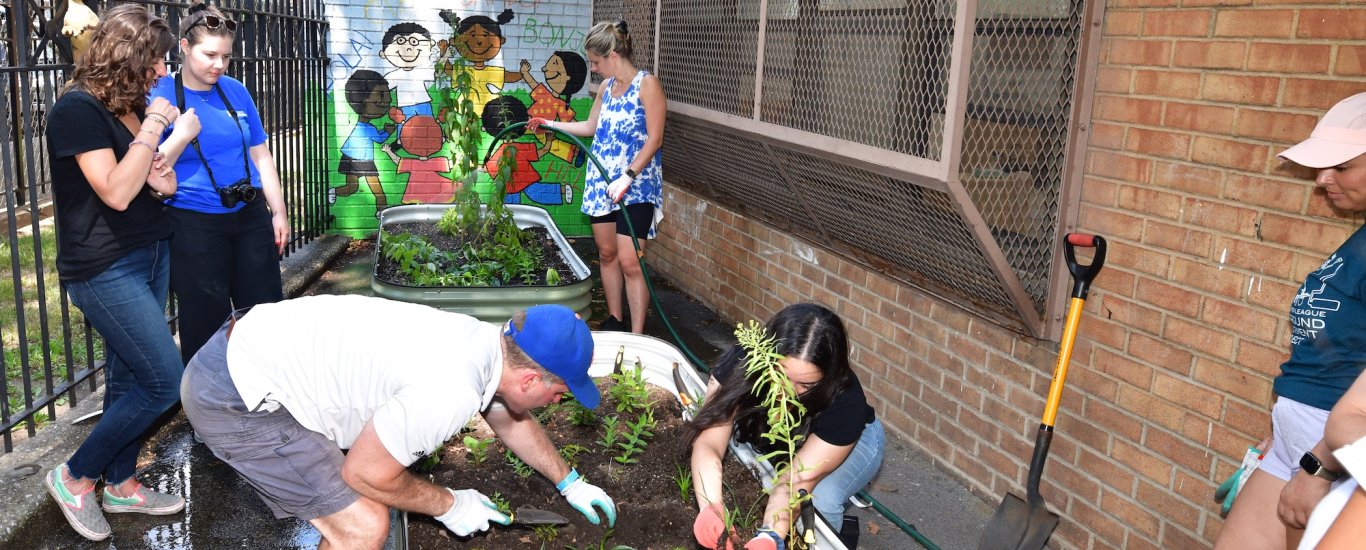 Volunteer gardening
