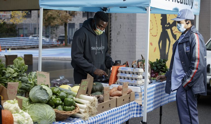 Go!Healthy Food Distribution