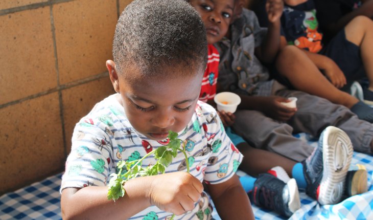 Child with Cilantro