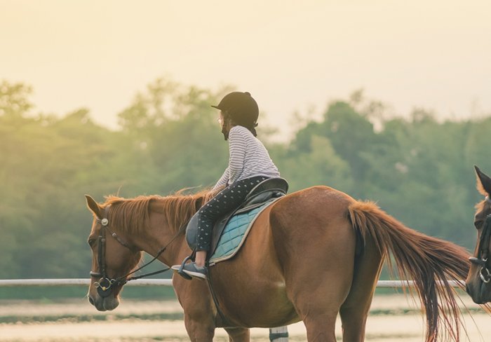 Horseback Riding Lessons