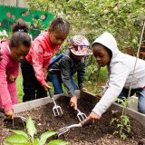 Kids gardening